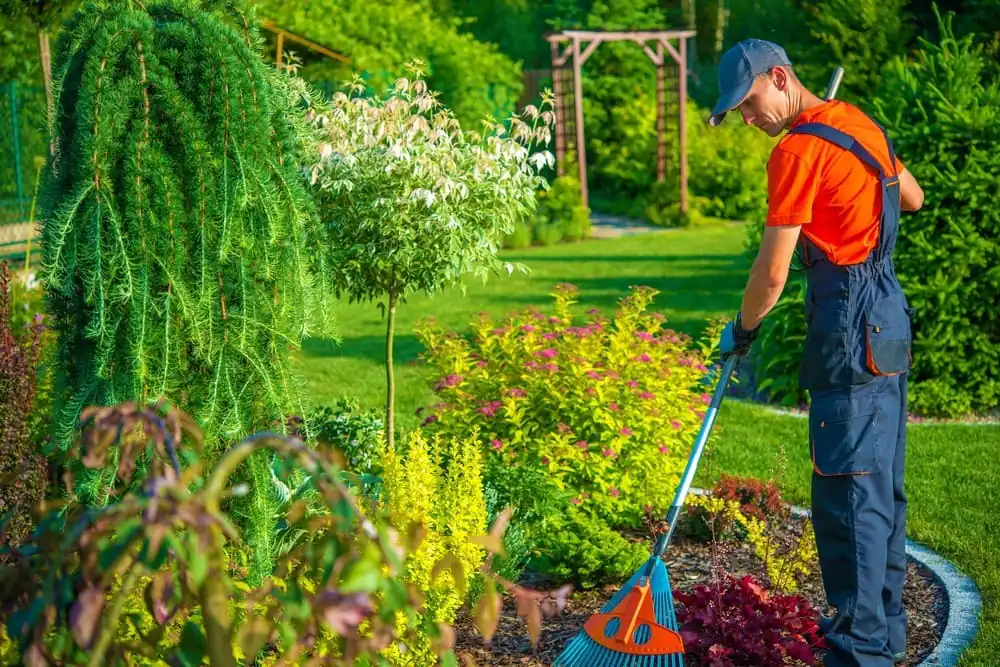 Jardinagem: dicas para prédios residenciais e comerciais