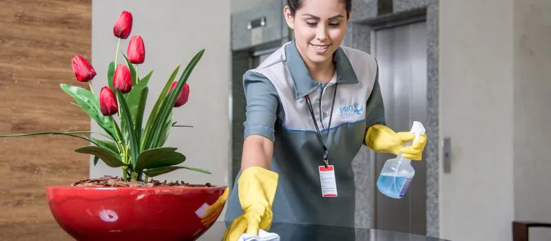Limpeza e Conservação Pro Clean